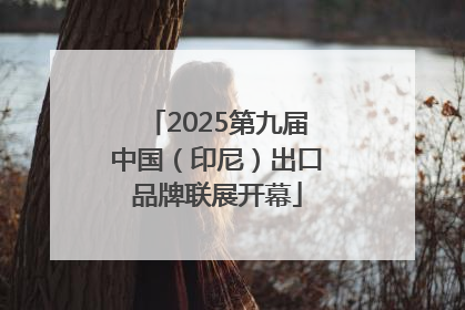 2025第九届中国（印尼）出口品牌联展开幕