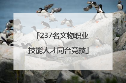 237名文物职业技能人才同台竞技