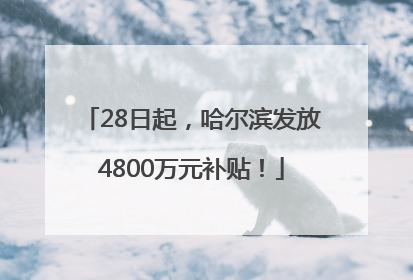 28日起，哈尔滨发放4800万元补贴！