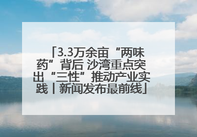 3.3万余亩“两味药”背后 沙湾重点突出“三性”推动产业实践丨新闻发布最前线