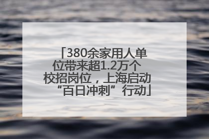 380余家用人单位带来超1.2万个校招岗位，上海启动“百日冲刺”行动