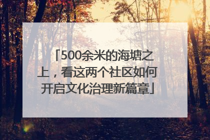 500余米的海塘之上，看这两个社区如何开启文化治理新篇章