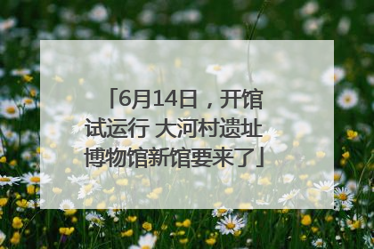 6月14日，开馆试运行 大河村遗址博物馆新馆要来了