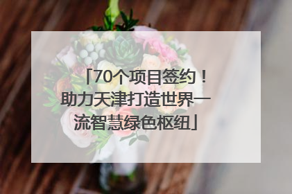 70个项目签约！助力天津打造世界一流智慧绿色枢纽