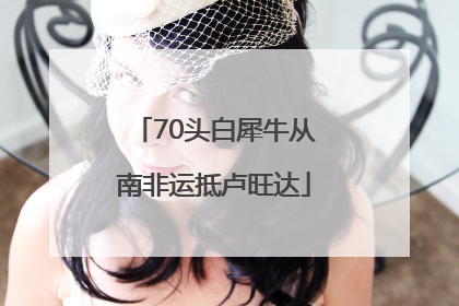 70头白犀牛从南非运抵卢旺达