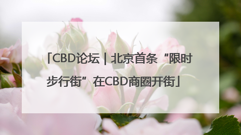 CBD论坛｜北京首条“限时步行街”在CBD商圈开街