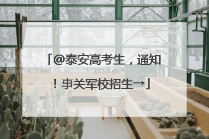 @泰安高考生，通知！事关军校招生→
