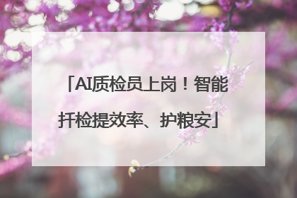 AI质检员上岗！智能扦检提效率、护粮安
