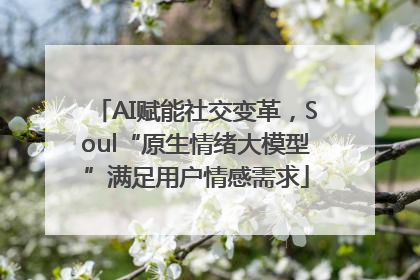 AI赋能社交变革，Soul“原生情绪大模型”满足用户情感需求