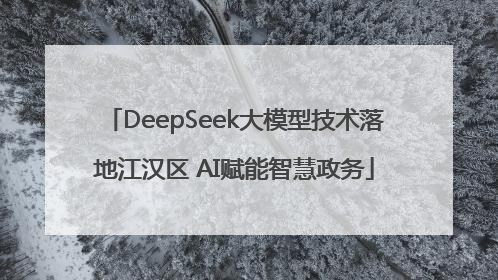 DeepSeek大模型技术落地江汉区 AI赋能智慧政务
