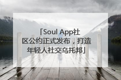 Soul App社区公约正式发布，打造年轻人社交乌托邦