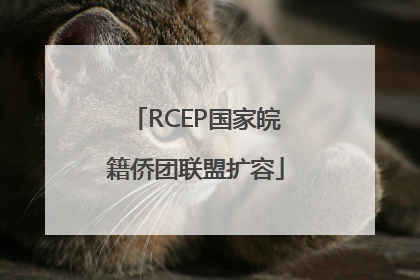 RCEP国家皖籍侨团联盟扩容