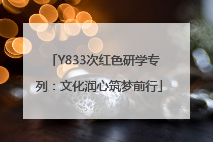 Y833次红色研学专列：文化润心筑梦前行